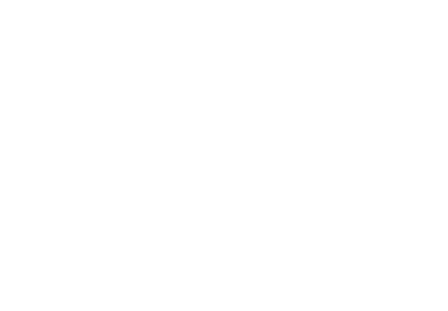 Shopify Consultant 1 How To Grow Sales For Your Shopify Shop
